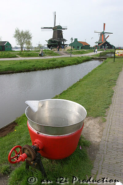 holland29